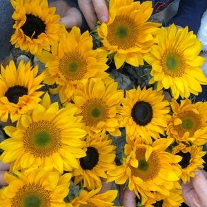 Meet your Posher, Janelle